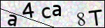 Human Confirmation Code (Captcha)