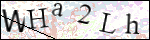 Human Confirmation Code (Captcha)