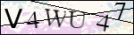 Human Confirmation Code (Captcha)