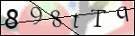 Human Confirmation Code (Captcha)