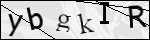Human Confirmation Code (Captcha)