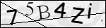 Human Confirmation Code (Captcha)