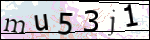 Human Confirmation Code (Captcha)