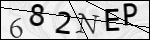 Human Confirmation Code (Captcha)