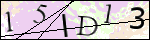 Human Confirmation Code (Captcha)