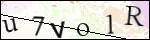 Human Confirmation Code (Captcha)