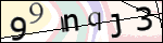 Human Confirmation Code (Captcha)