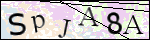 Human Confirmation Code (Captcha)