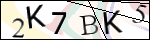 Human Confirmation Code (Captcha)