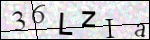 Human Confirmation Code (Captcha)