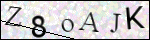 Human Confirmation Code (Captcha)