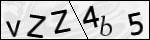 Human Confirmation Code (Captcha)