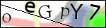 Human Confirmation Code (Captcha)