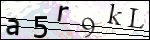 Human Confirmation Code (Captcha)