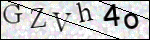 Human Confirmation Code (Captcha)