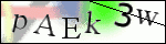 Human Confirmation Code (Captcha)