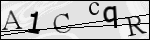 Human Confirmation Code (Captcha)