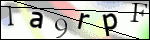 Human Confirmation Code (Captcha)