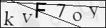 Human Confirmation Code (Captcha)