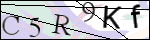 Human Confirmation Code (Captcha)