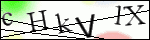 Human Confirmation Code (Captcha)