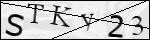 Human Confirmation Code (Captcha)