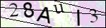 Human Confirmation Code (Captcha)