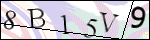 Human Confirmation Code (Captcha)