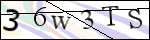 Human Confirmation Code (Captcha)