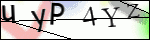 Human Confirmation Code (Captcha)