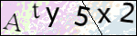 Human Confirmation Code (Captcha)