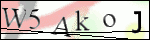 Human Confirmation Code (Captcha)