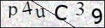 Human Confirmation Code (Captcha)