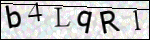 Human Confirmation Code (Captcha)
