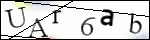Human Confirmation Code (Captcha)