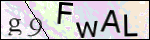 Human Confirmation Code (Captcha)