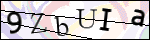 Human Confirmation Code (Captcha)