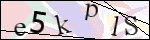 Human Confirmation Code (Captcha)