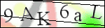 Human Confirmation Code (Captcha)