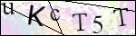 Human Confirmation Code (Captcha)