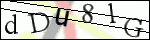 Human Confirmation Code (Captcha)