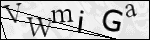 Human Confirmation Code (Captcha)