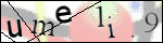 Human Confirmation Code (Captcha)