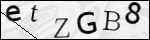 Human Confirmation Code (Captcha)