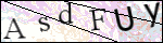 Human Confirmation Code (Captcha)