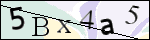 Human Confirmation Code (Captcha)