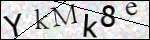 Human Confirmation Code (Captcha)