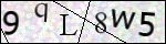 Human Confirmation Code (Captcha)