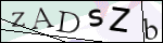 Human Confirmation Code (Captcha)