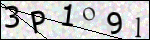 Human Confirmation Code (Captcha)